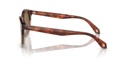 Red Havana/Honey Havana - 0AR8192 8056597940559