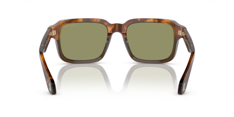 Havana Red/Opaline Olive Green - 0AR8194U 8056597940474