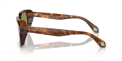 Havana Red/Opaline Olive Green - 0AR8194U 8056597940474