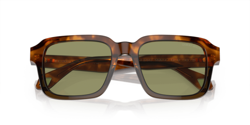 Havana Red/Opaline Olive Green - 0AR8194U 8056597940474