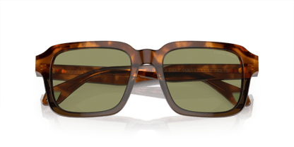 Havana Red/Opaline Olive Green - 0AR8194U 8056597940474