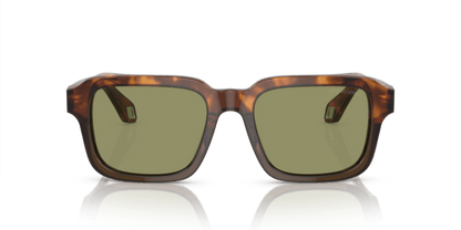 Havana Red/Opaline Olive Green - 0AR8194U 8056597940474