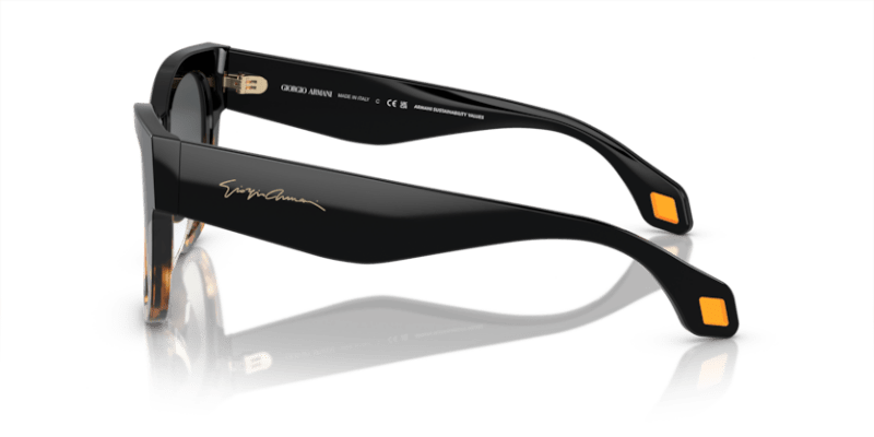 Black/Yellow Havana - 0AR8195U 8056597940429