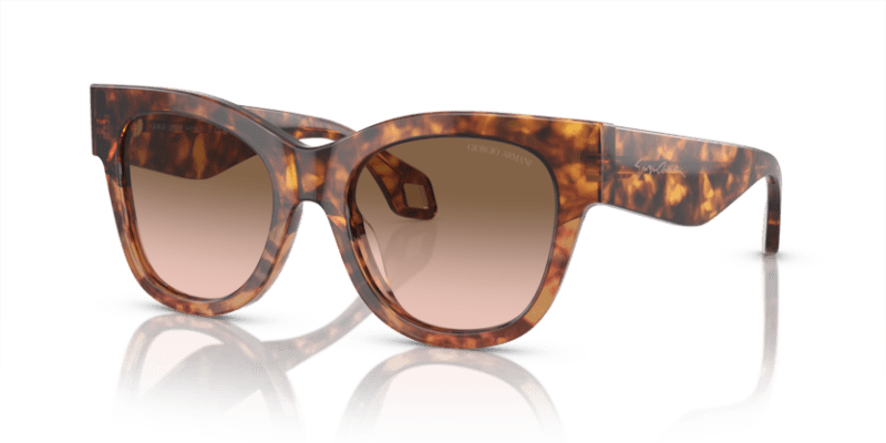 Red Havana/Orange Havana - 0AR8195U 8056597940450