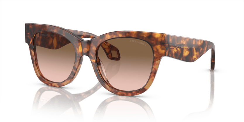 0AR8195U - Giorgio Armani - (Red Havana/Orange Havana) Gradient Brown - 51 - 19 - 140 MM - Ardor Eyewear 8056597940450