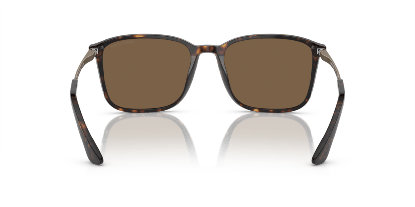 0AR8197 - Giorgio Armani - (Havana) Dark Brown - 55 - 19 - 145 MM - Ardor Eyewear 8056597942614