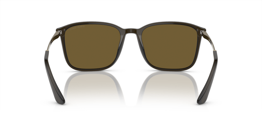 0AR8197 - Giorgio Armani - (Transparent Olive Green) Dark Brown - 55 - 19 - 145 MM - Ardor Eyewear 8056597942621