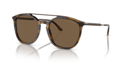 Striped Brown - 0AR8198 8056597945332