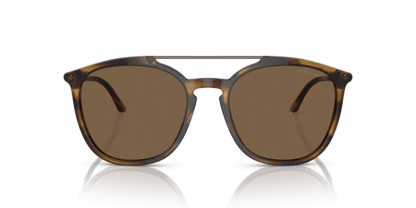 Striped Brown - 0AR8198 8056597945332