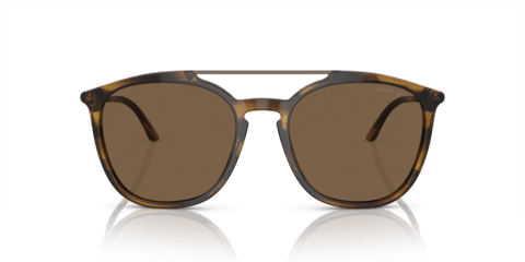 Striped Brown - 0AR8198 8056597945332
