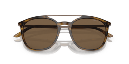 Striped Brown - 0AR8198 8056597945332