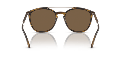 Striped Brown - 0AR8198 8056597945332