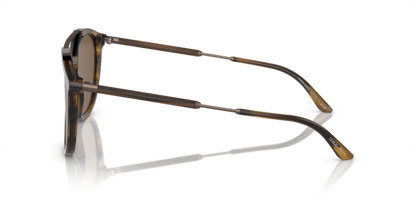 Striped Brown - 0AR8198 8056597945332