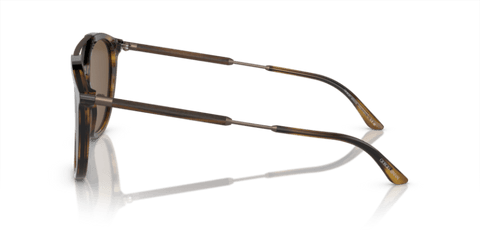 Striped Brown - 0AR8198 8056597945332