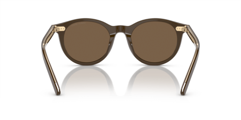 Brown - 0AR8199U 8056597943024