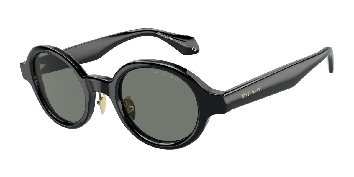 0AR8205 - Giorgio Armani - (Black) Grey - 46 - 23 - 145 MM - Ardor Eyewear 8056597999953