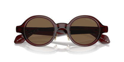 Transparent Brown - 0AR8205 8056597999540