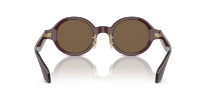 Transparent Brown - 0AR8205 8056597999540