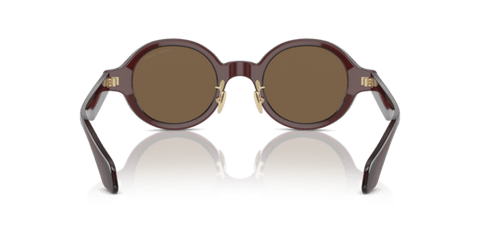 Transparent Brown - 0AR8205 8056597999540