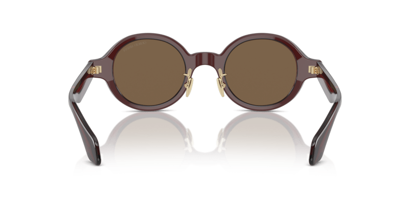 0AR8205 - Giorgio Armani - (Transparent Brown) Dark Brown - 46 - 23 - 145 MM - Ardor Eyewear 8056597999540