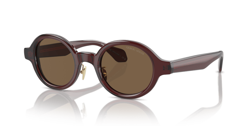 0AR8205 - Giorgio Armani - (Transparent Brown) Dark Brown - 46 - 23 - 145 MM - Ardor Eyewear 8056597999540