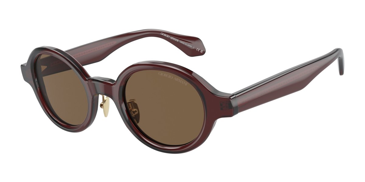 0AR8205 - Giorgio Armani - (Transparent Brown) Dark Brown - 46 - 23 - 145 MM - Ardor Eyewear 8056597999540