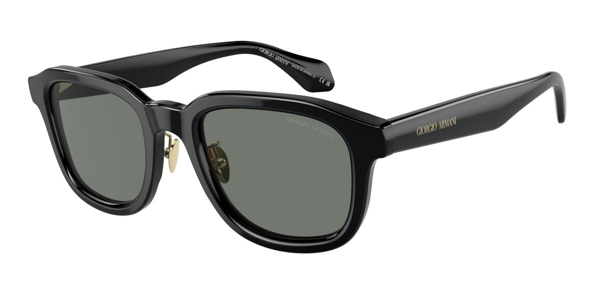 0AR8206 - Giorgio Armani - (Black) Grey - 51 - 22 - 145 MM - Ardor Eyewear 8056597999960