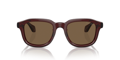 Transparent Brown - 0AR8206 8056597999601