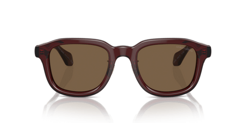 Transparent Brown - 0AR8206 8056597999601