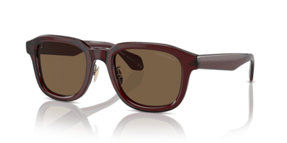 Transparent Brown - 0AR8206 8056597999601