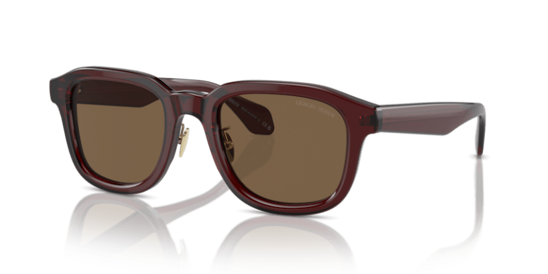 Transparent Brown - 0AR8206 8056597999601