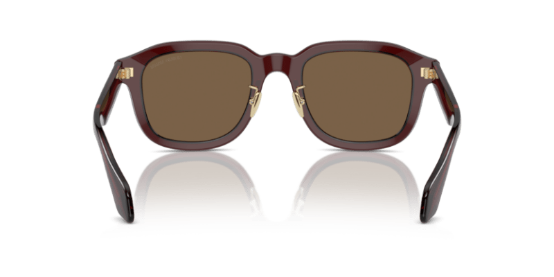 Transparent Brown - 0AR8206 8056597999601