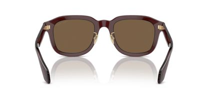 Transparent Brown - 0AR8206 8056597999601