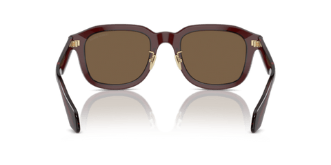 Transparent Brown - 0AR8206 8056597999601