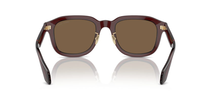 0AR8206 - Giorgio Armani - (Transparent Brown) Dark Brown - 51 - 22 - 145 MM - Ardor Eyewear 8056597999601