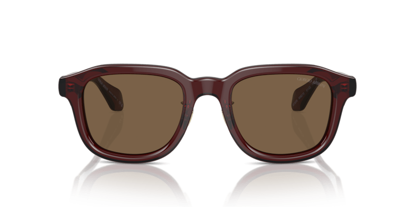 0AR8206 - Giorgio Armani - (Transparent Brown) Dark Brown - 51 - 22 - 145 MM - Ardor Eyewear 8056597999601