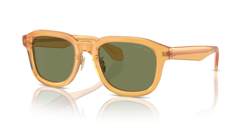 0AR8206 - Giorgio Armani - (Transparent Honey) Green - 51 - 22 - 145 MM - Ardor Eyewear 8056597999618