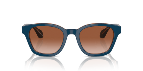 Top Blue/Transparent Brown - 0AR8207 8056262046814