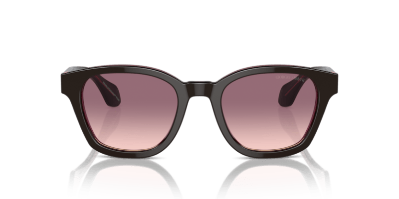 Top Brown/Transparent Pink - 0AR8207 8056262049464