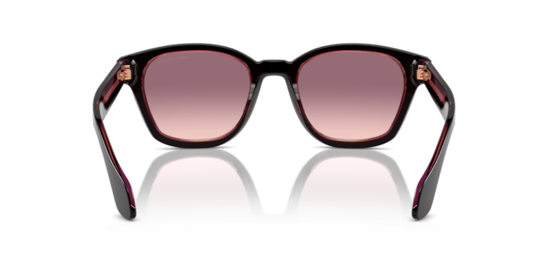 Top Brown/Transparent Pink - 0AR8207 8056262049464