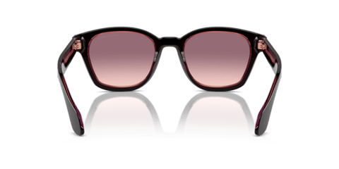 Top Brown/Transparent Pink - 0AR8207 8056262049464