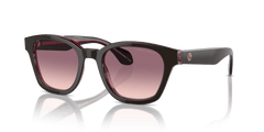 0AR8207 - Giorgio Armani - (Top Brown/Transparent Pink) Pink Gradient Violet - 50 - 21 - 145 MM - Ardor Eyewear 8056262049464