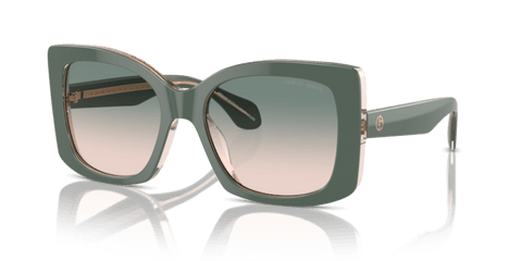 Top Sage Green/Transparent Pink - 0AR8208U 8056262047200
