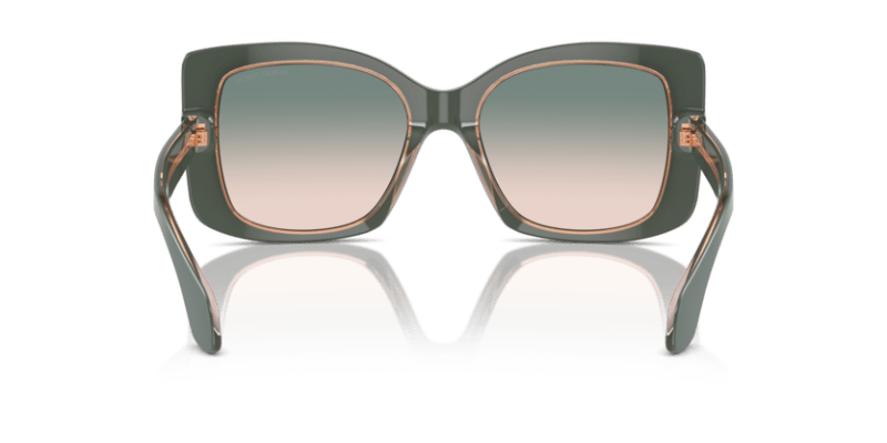 Top Sage Green/Transparent Pink - 0AR8208U 8056262047200