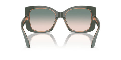 Top Sage Green/Transparent Pink - 0AR8208U 8056262047200