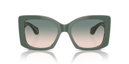 Top Sage Green/Transparent Pink - 0AR8208U 8056262047200