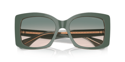 Top Sage Green/Transparent Pink - 0AR8208U 8056262047200