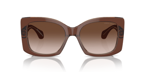 Top Transparent Brown/Honey - 0AR8208U 8056262047187