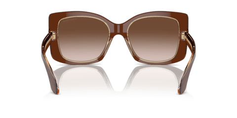 Top Transparent Brown/Honey - 0AR8208U 8056262047187