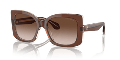 0AR8208U - Giorgio Armani - (Top Transparent Brown/Honey) Brown Gradient - 55 - 19 - 140 MM - Ardor Eyewear 8056262047187